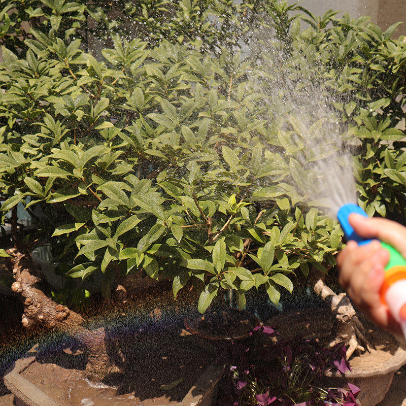 软水管pvc加厚防晒自来水透明牛筋管子4分6分1寸塑料浇水浇花软管