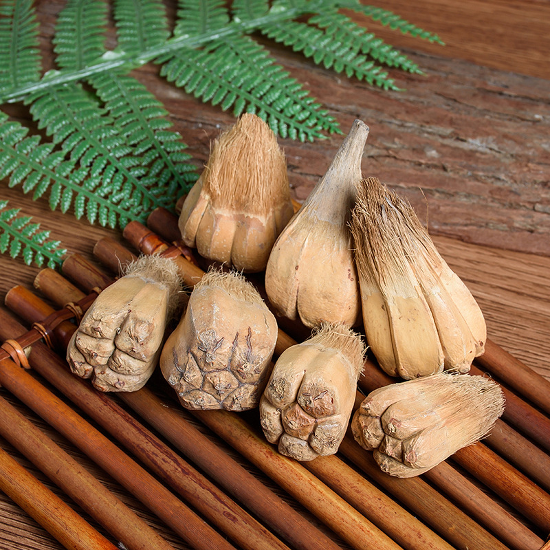 批发中药材山菠萝 产地新货散装滴血莲花原籽 野菠萝 莲花菩提子