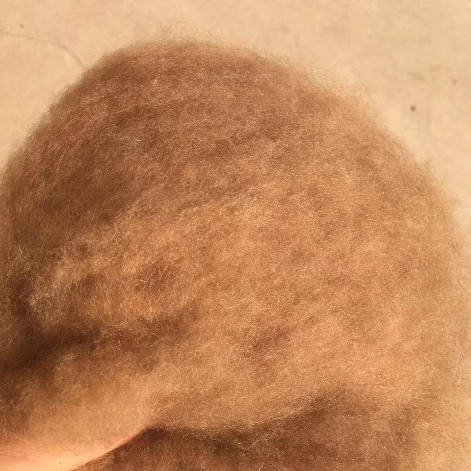 驼绒 棉衣棉被优选絮料草原特产保暖防潮 被子直接使用纯驼绒一斤