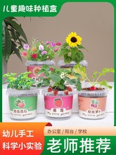 儿童种植小盆栽幼儿园向日葵植物学生观察绿植种子盒diy迷你盲盒