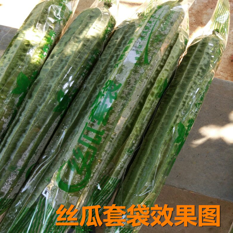 牌丝瓜套袋黄瓜角瓜专用套袋防虫保护套袋果实蝇防水套塑料袋