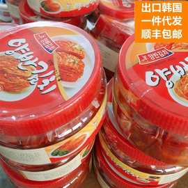出口韩国泡菜辣白菜下饭菜罐装320g/罐一件代发顺丰包邮