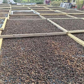 广西山捻子干三蒸三晒山棯子果干桃金娘稔子干岗稔籽泡酒