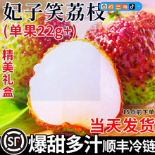 海南妃子笑荔枝新鲜水果当季现摘应季爆甜老树大果王顺丰整箱包邮