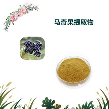 沃特莱斯生物 马奇果粉 水溶性粉末 喷雾干燥粉 2kg起批 现货