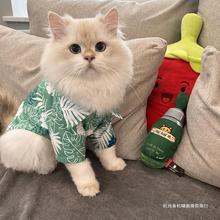 猫咪衣服夏季薄款衬衫空调服防掉毛布偶蓝猫英短金渐层幼猫服饰潮