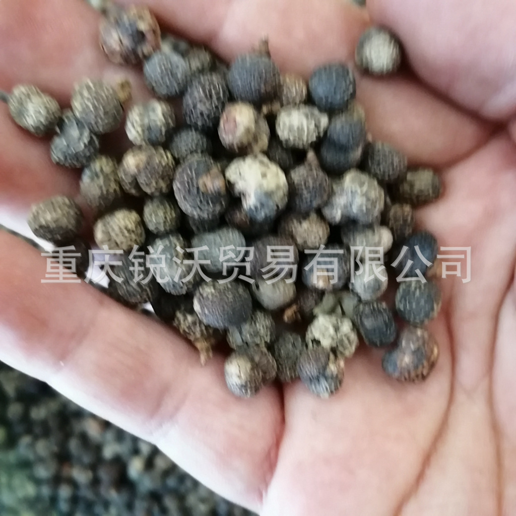 1公斤散装批发干品棕榈子 棕榈树籽果实 棕榈籽败棕子,棕树果