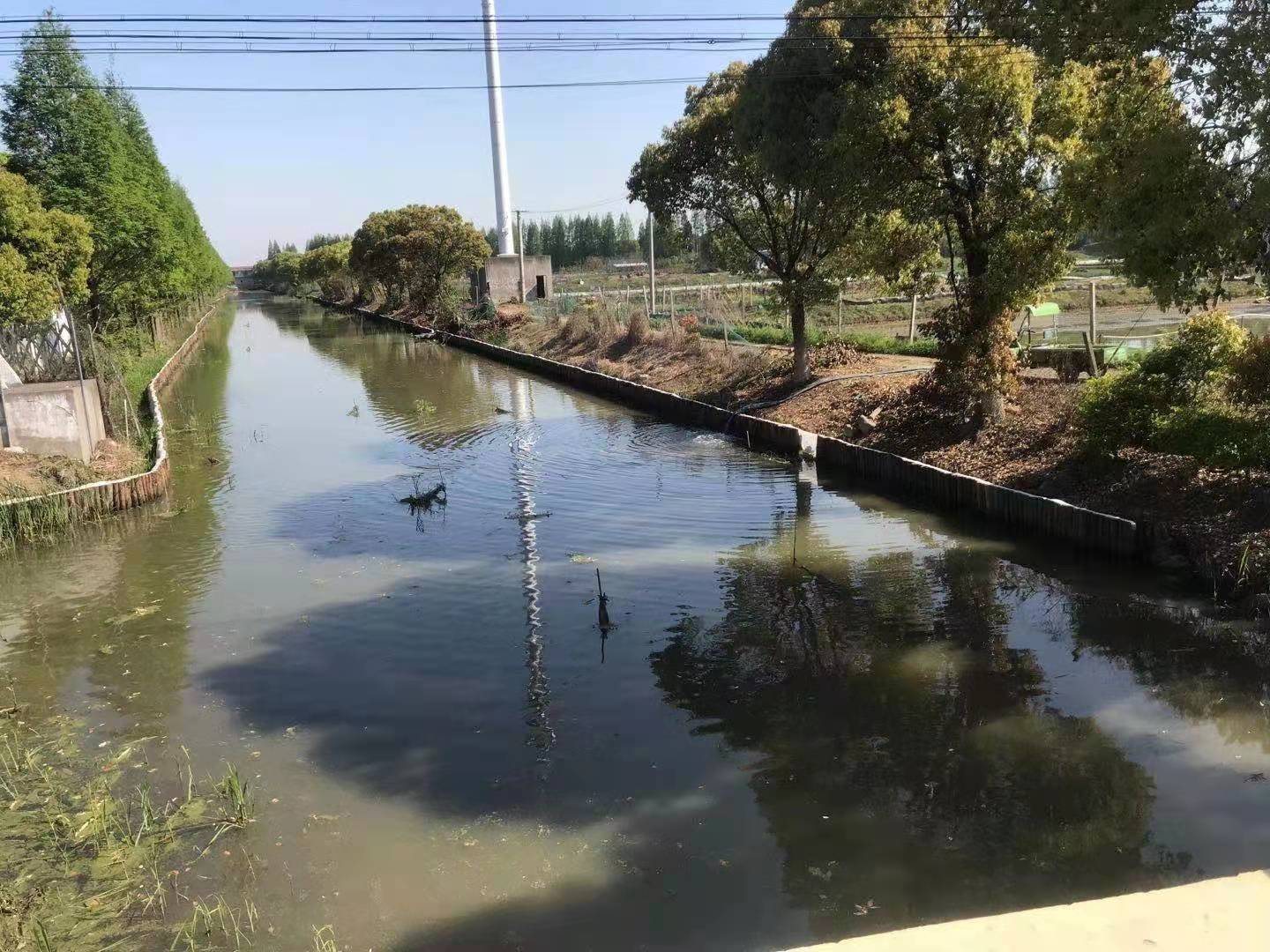 【全国送货】大量现货供应4米松木桩,河道工程打桩木,价廉质优