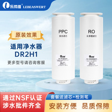 乐博维通用滤芯DR2H1复合滤芯PPC直饮净水器滤芯反渗透SJR-Y1