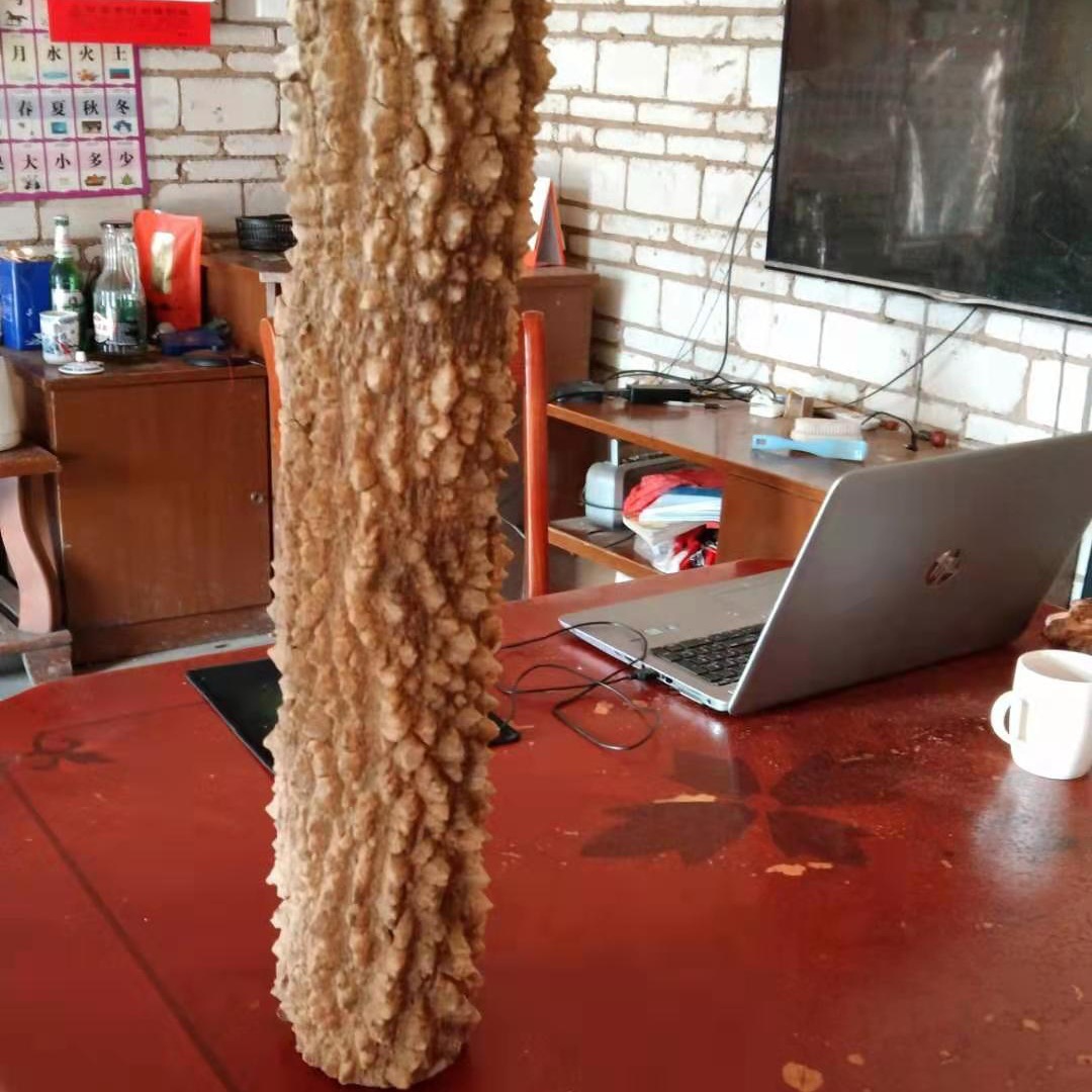 批发降龙木原木野生天然把玩收藏木料老料家居镇宅玄关装饰实木摆