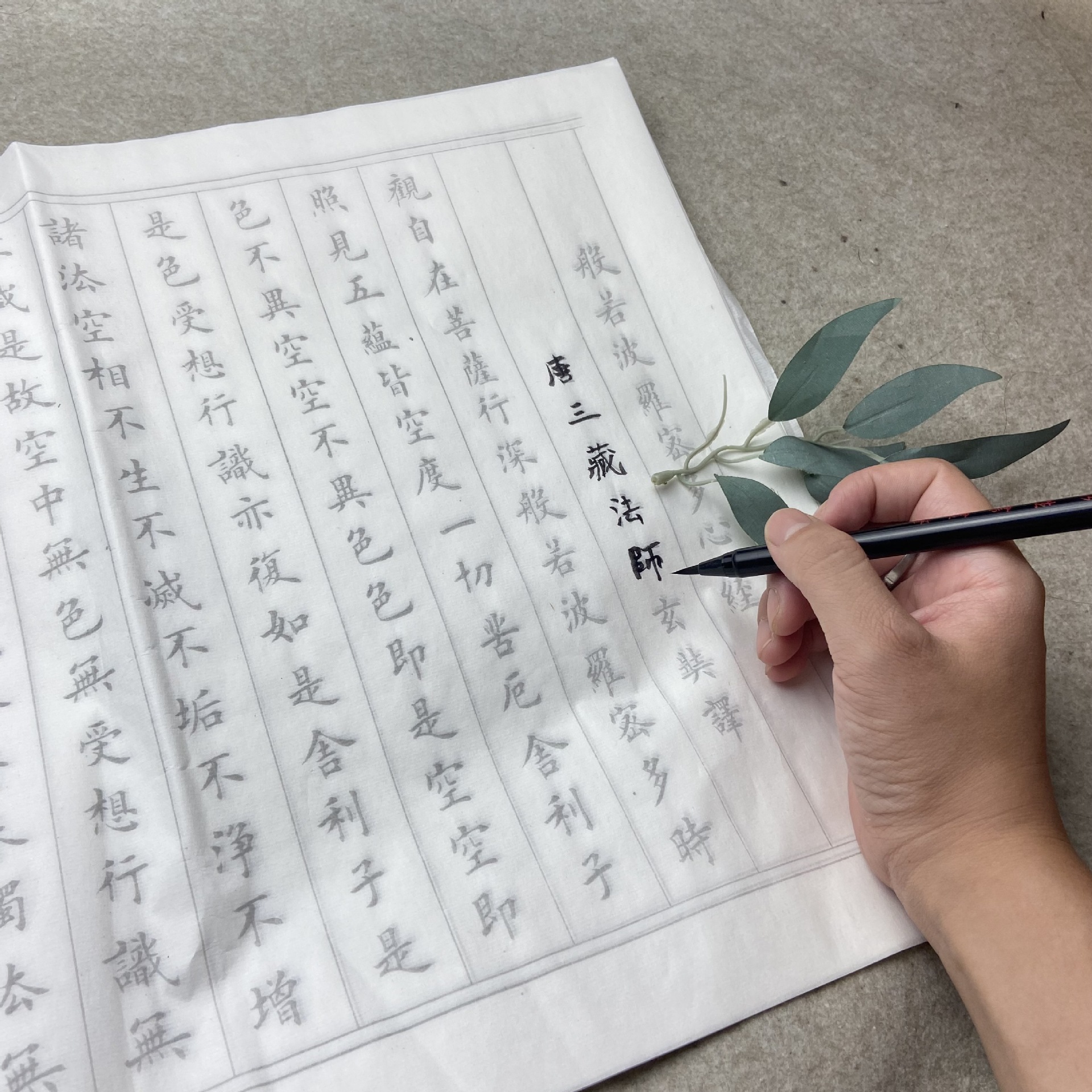 小楷临摹心经字帖 入门小楷书法宣纸临摹描红毛笔练字经书抄经本