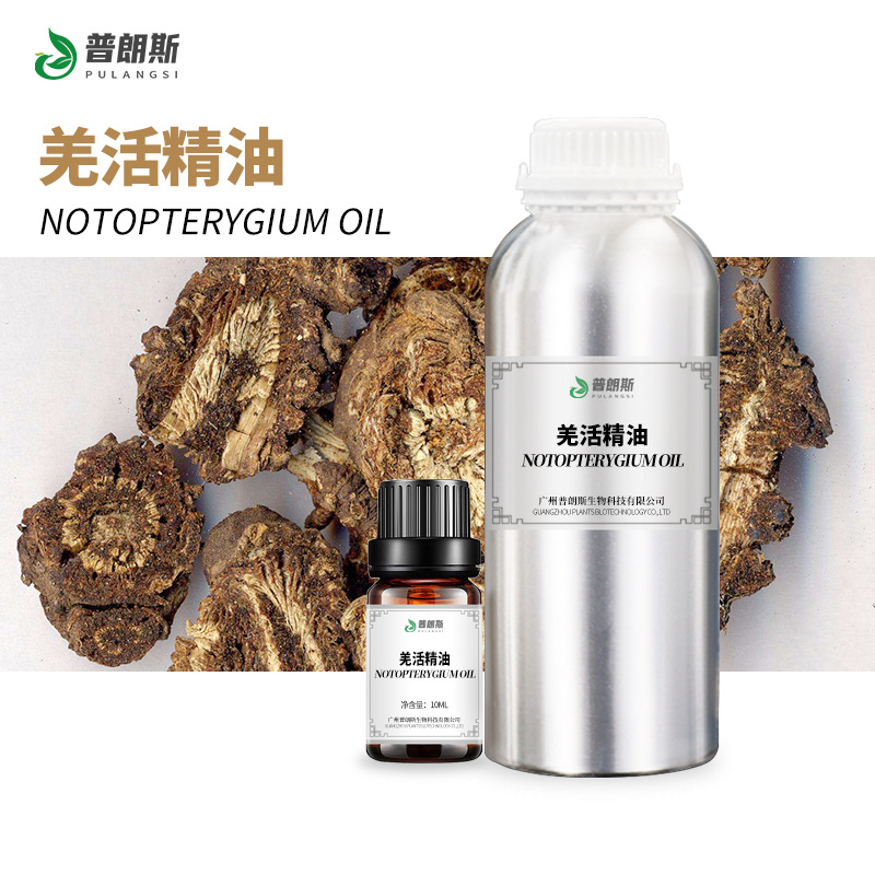 独活独活油