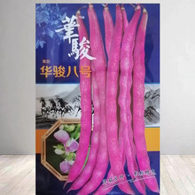 紫架豆种籽高产早熟爬藤紫红四季豆种子春秋季架豆农家蔬菜种孑