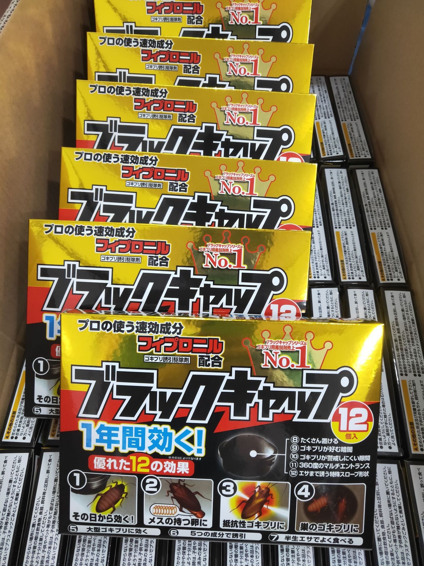 强大一窝端日本蟑螂药蟑螂胶饵蟑螂屋灭蟑螂杀星小强捕捉器除蟑螂