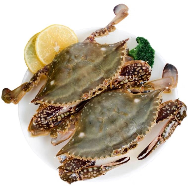 老板,我家宝贝上新了,新鲜捕捞的梭子蟹,快来看看吧