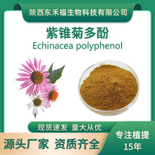 紫锥菊多酚10%紫锥菊提取物 Echinacea polyphenol紫松果菊粉1Kg