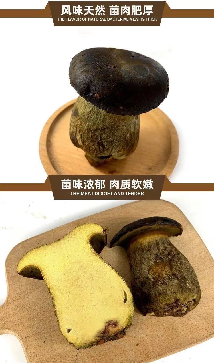 新鲜黑牛肝菌云南特产香菇类菌菇非干货蘑菇牛肝菌煲汤食用菌包邮