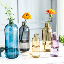 跨境热卖彩色透明玻璃花瓶款小口玻璃瓶水培插花瓶家居工艺品摆件