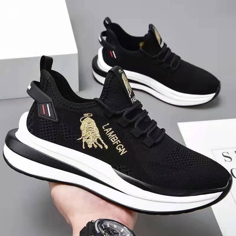 Factory Spring and Autumn Breathable Lightweight Men's Sneaker Casual and Comfortable Running Men's Lace up Pumps One Piece Dropshipping