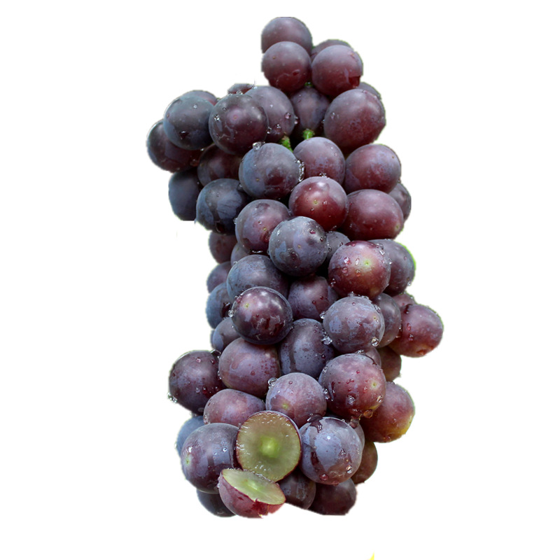 果树苗新品种玲珑指葡萄苗早熟葡萄树苗南方北方种植 当年结果