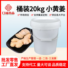川味泡姜20kg桶装新鲜大块香辣鲜姜餐饮腌制泡菜下饭菜云南小黄姜