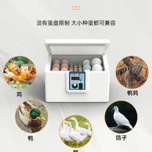 孵化器小型水床芦丁鸡孵蛋器家用全自动孵化机智能小鸡鸭鹅孵化箱