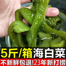 海白菜新鲜盐渍裙带菜梗段5斤商用半干货非即食海藻海带海芹菜