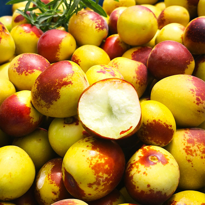 新疆戢牌牛奶脆冬枣 陆地自然成熟 脆枣 应季水果-阿里巴巴