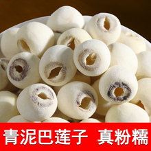 青泥巴莲子干货去芯无硫洪湖白莲子500g湖北荆州特产20新莲子