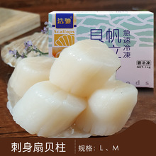 北海道帆立贝柱18-22只日式带子大号南极新鲜冷冻扇瑶柱刺身250g