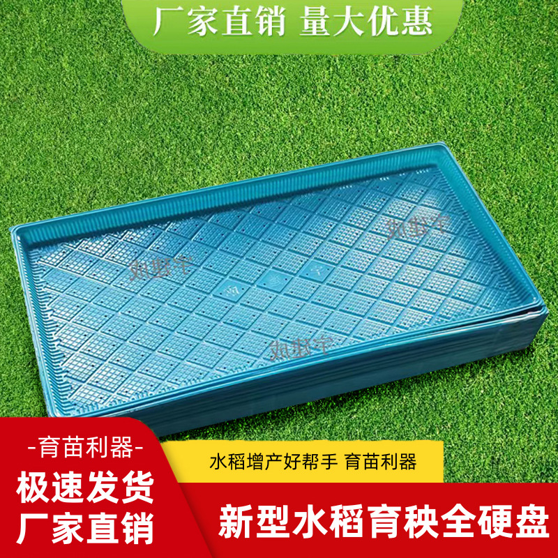 水稻育秧盘新款加厚谷物秧苗育种盆平底盘彩色软盘插秧机插育苗盘