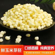 去皮鲜玉米胚芽500g无皮嫩糯玉米粒黏速冷冻五谷杂粮粗粮餐饮包邮