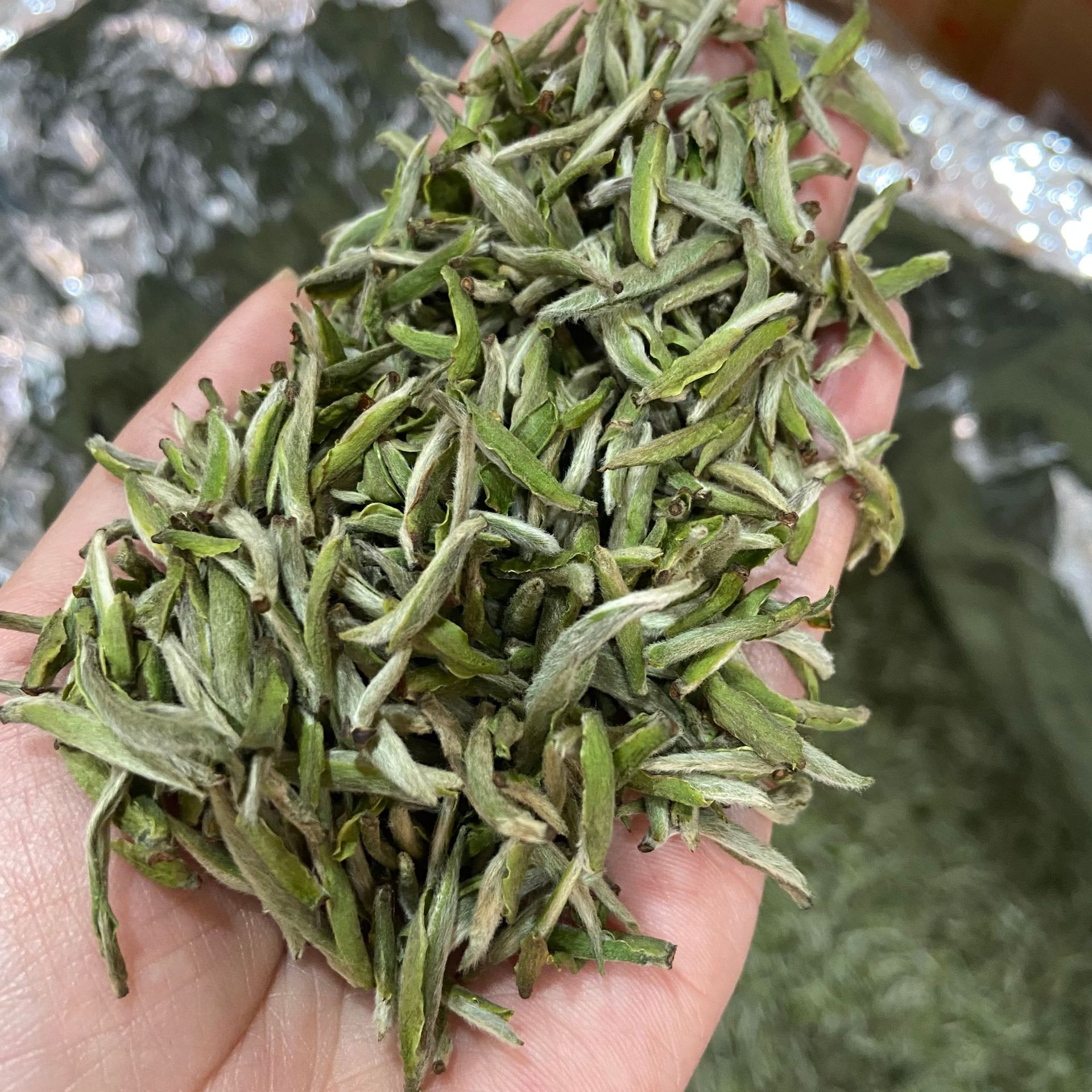 2022年福鼎白茶头春头采米粒芽 白毫银针春茶叶500g散茶高山厂家