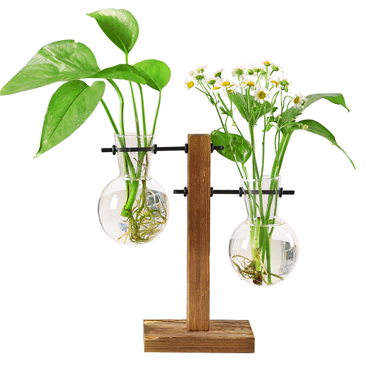 Minimalist Creative Hydroponic Wooden Stand Small Vase Green Radish Hydroponic Plant Transparent Vase Desktop Furnishings Ornaments