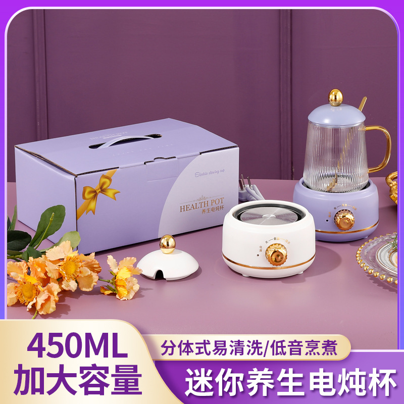 Health Pot Office Small Multi-Functional Mini Electric Kettle Health Bottle Household Hot Milk Burning Flower Tea Cup