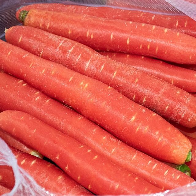 四川沙地红皮红心新鲜红萝卜沙地水果胡萝卜 生吃脆甜 熟吃软