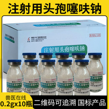 兽药兽用正品0.2g注射用头孢噻呋钠猪牛羊犬猫兔消炎咳喘感冒肺炎