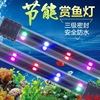 Manufacturers straight hair LED Aquarium Dive Lights led Lighting Underwater Light small-scale Trichromatic Water and land