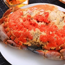 面包蟹鲜活熟冻新鲜海鲜水产特大海螃蟹超大黄金蟹梭子蟹加热即食