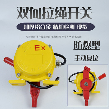 zwl-ii-a双向拉绳开关ksd-ii事故急停拉线开关紧急煤矿输送机