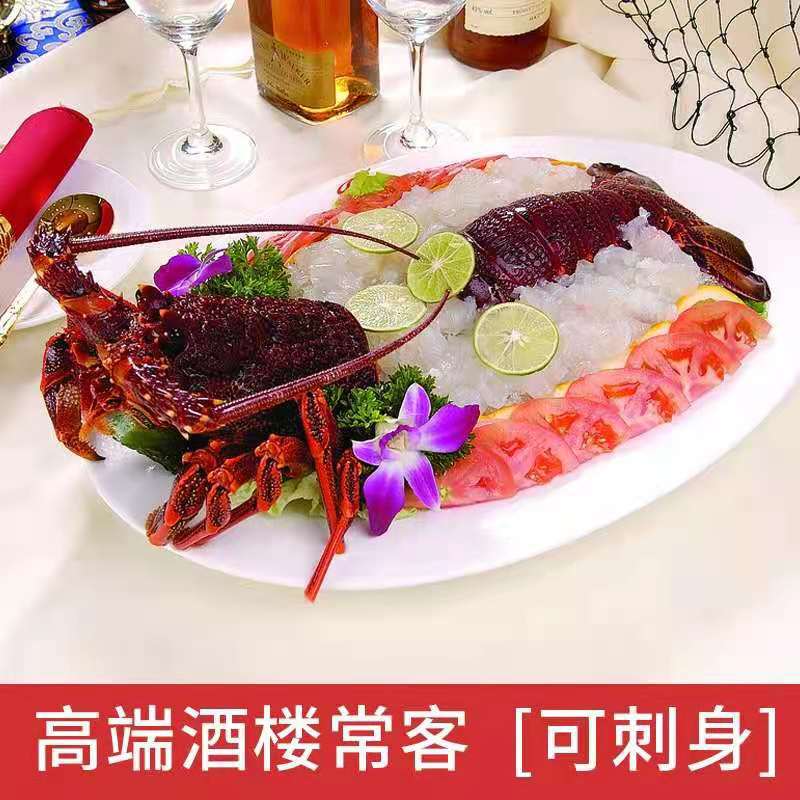 澳洲红龙速冻大花龙青龙澳洲大龙虾550g-5000g一只规格