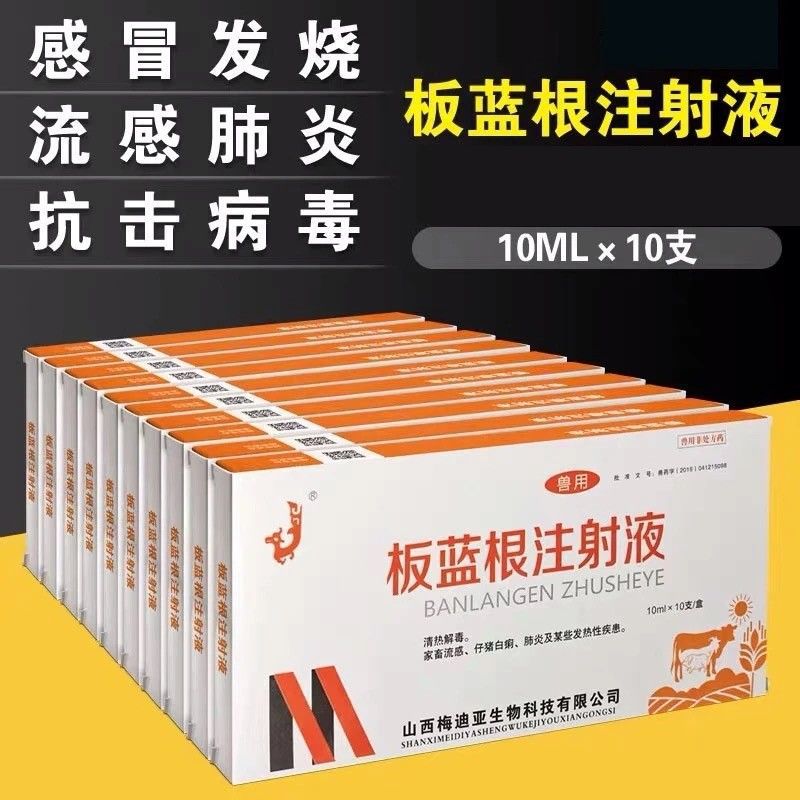 板蓝根注射液注射针剂兽用兔猪牛羊用抗病毒清热解毒混感冒发烧肿
