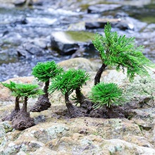 野生卷柏九死还魂草盆景假山吸水石造景绿植物花卉好养室内小盆栽