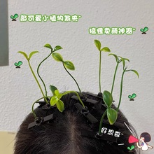 新款卖萌植物搞怪小豆芽花头上长草发芽发饰品小草发卡发夹子呆萌