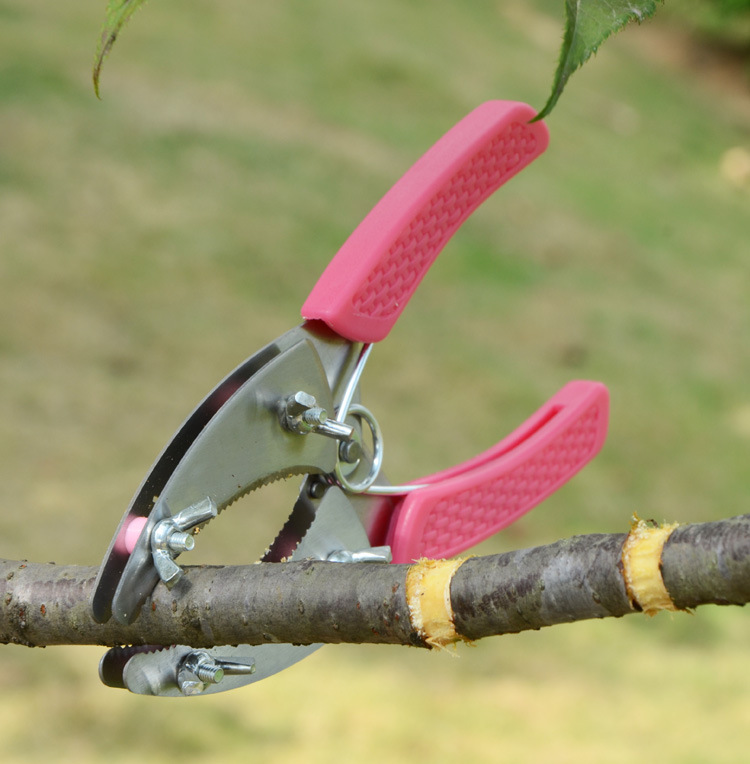 园艺果树环剥刀环割剪苗木葡萄环割刀割树皮刀园林果园柑橘环剥剪