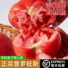 陕西泾阳普罗旺斯西红柿新鲜自然熟蔬菜水果当季沙瓤大番茄整箱