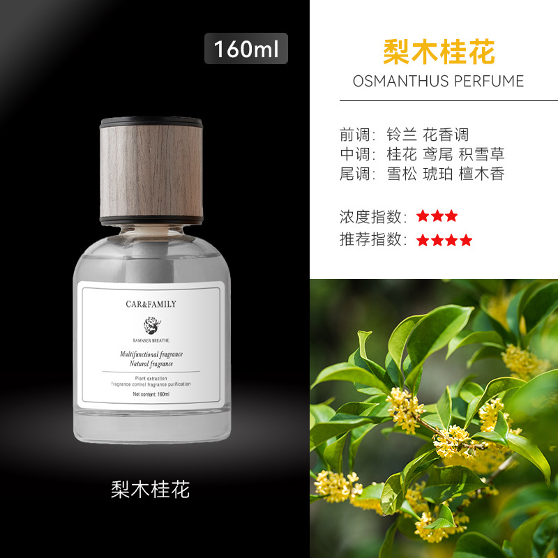Time Car Perfume Aromatherapy Car Decoration for Men in the Car High-End Long-Lasting Light Fragrance Deodorant Wholesale
