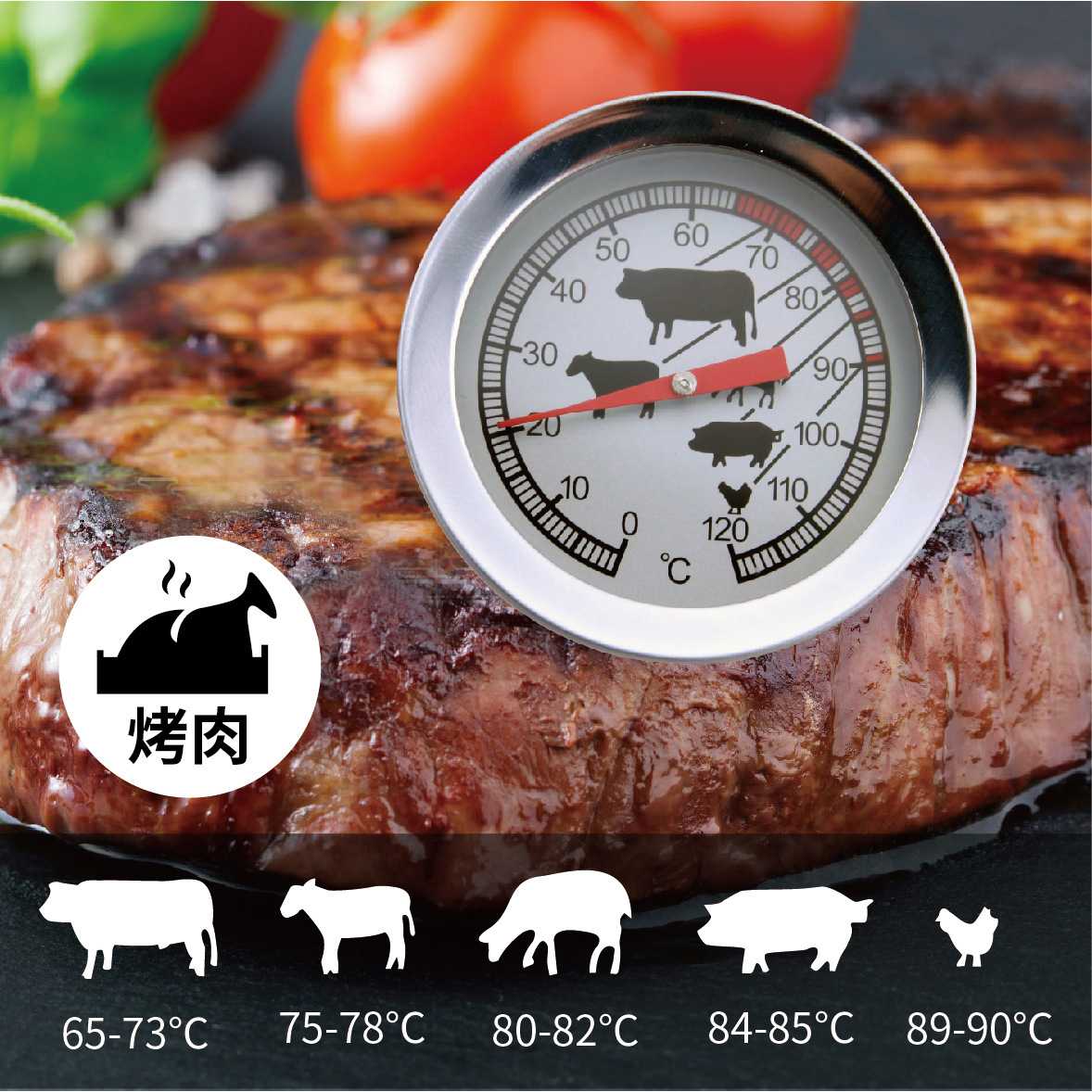 Stainless Steel Bimetal Barbecue Thermometer Kitchen Household Barbecue Steak Baking Probe Type Food Thermometer