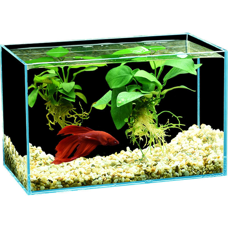 玻璃鱼缸家用迷你小鱼缸客厅桌面懒人水族箱长方形龟缸生态金鱼缸