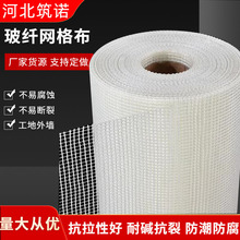 Alkali Resistant Fiberglass Mesh 110g 120g 130g 5x5 4x4 Glas